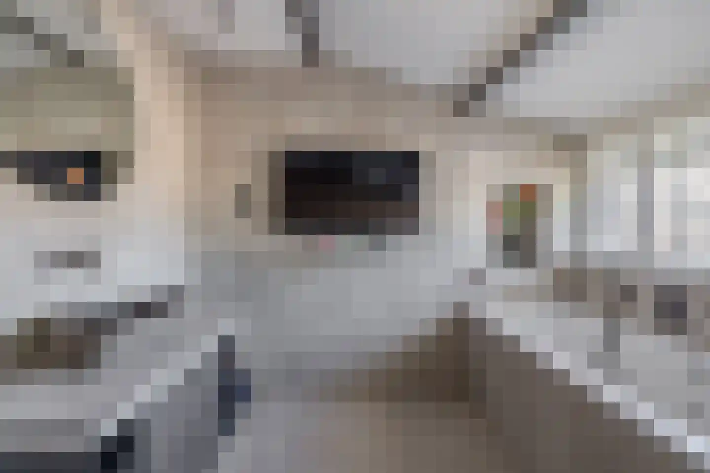 Gootsehoek 3 Zwartewaal thumbnail 28