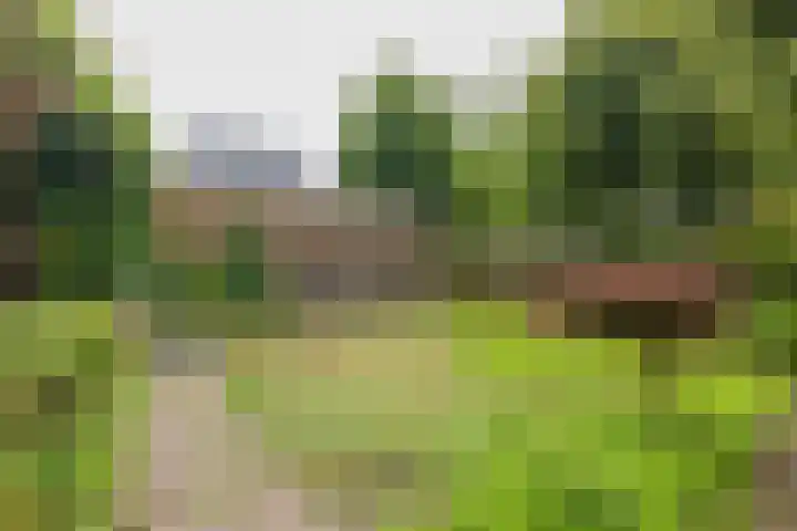 Gooweg 15 Noordwijk thumbnail 29