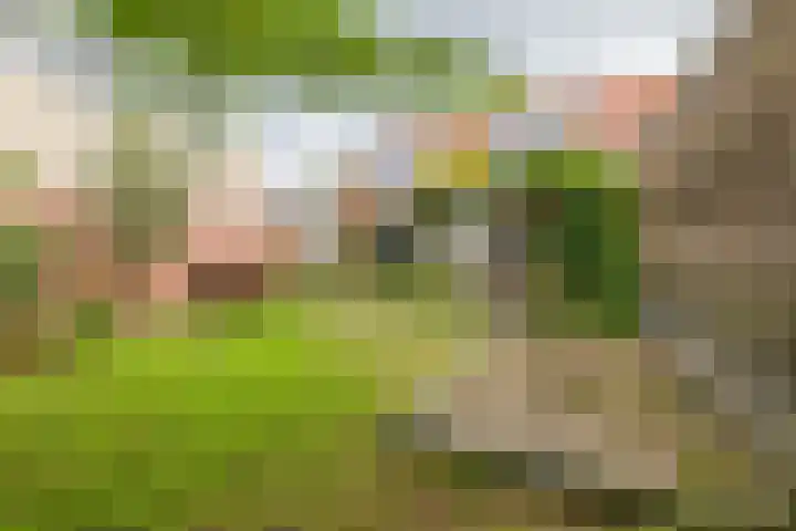 Gooweg 15 Noordwijk thumbnail 30
