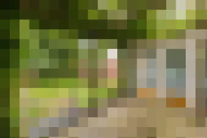 Gooweg 15 Noordwijk thumbnail 31