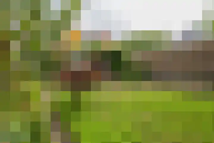 Gooweg 15 Noordwijk thumbnail 36