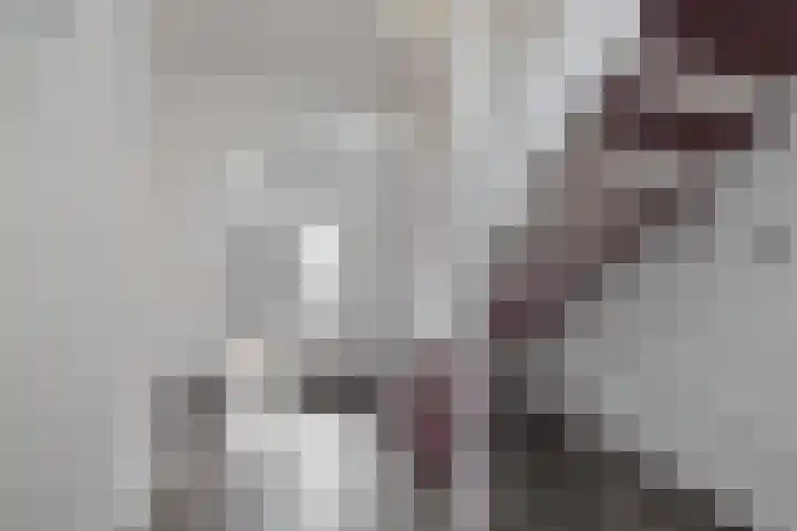 Gooweg 15 Noordwijk thumbnail 5