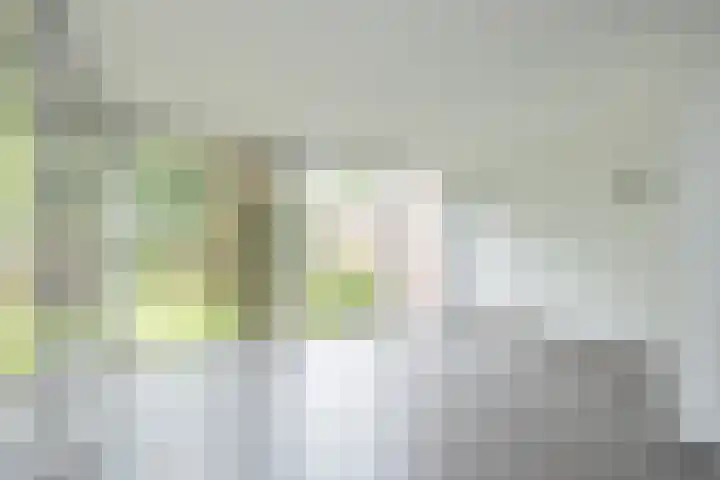 Gooweg 15 Noordwijk thumbnail 8