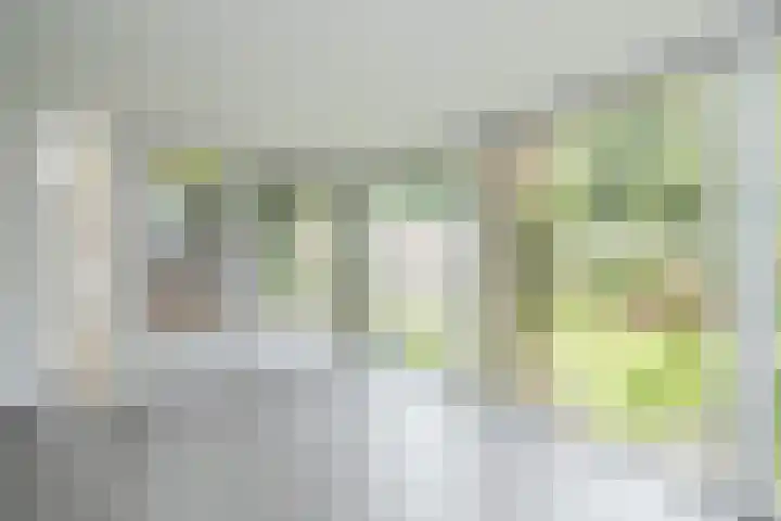 Gooweg 15 Noordwijk thumbnail 9