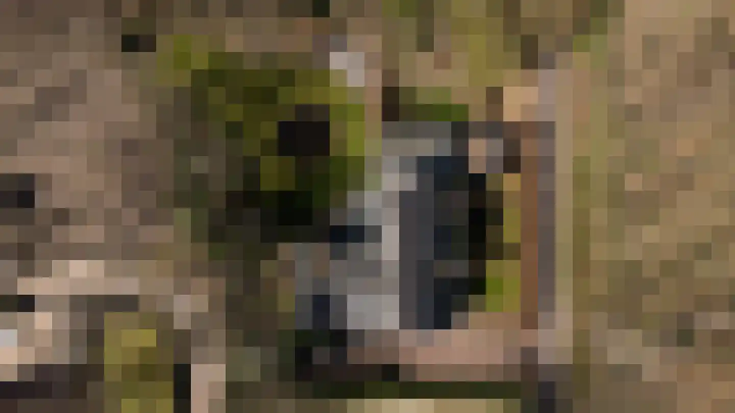 Gooweg 40 A Noordwijkerhout thumbnail 37