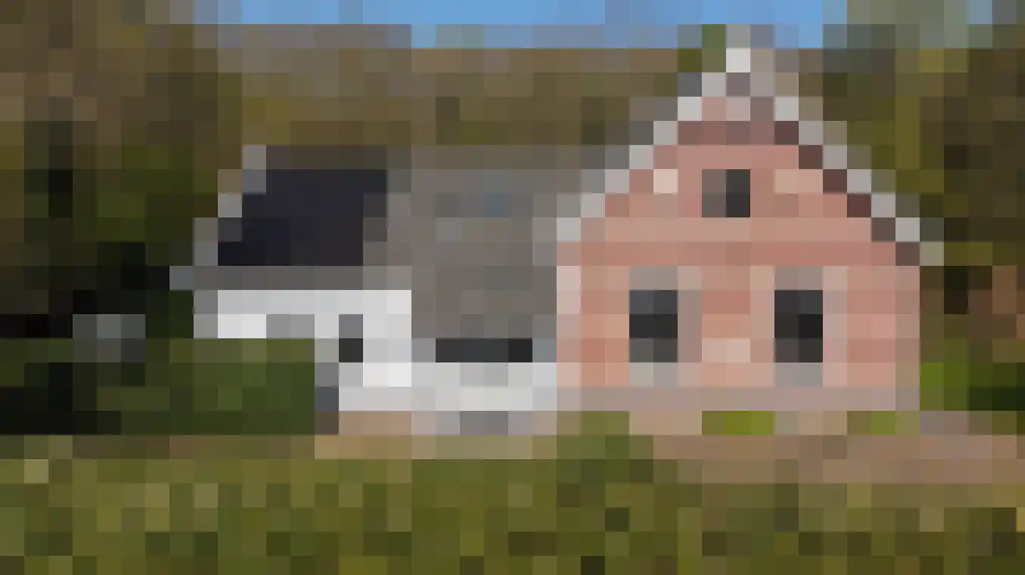Gooweg 40 A Noordwijkerhout thumbnail 6