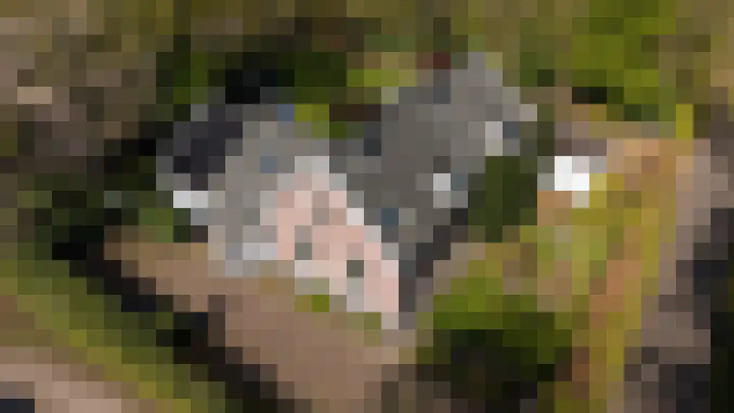 Gooweg 40 A Noordwijkerhout thumbnail 8