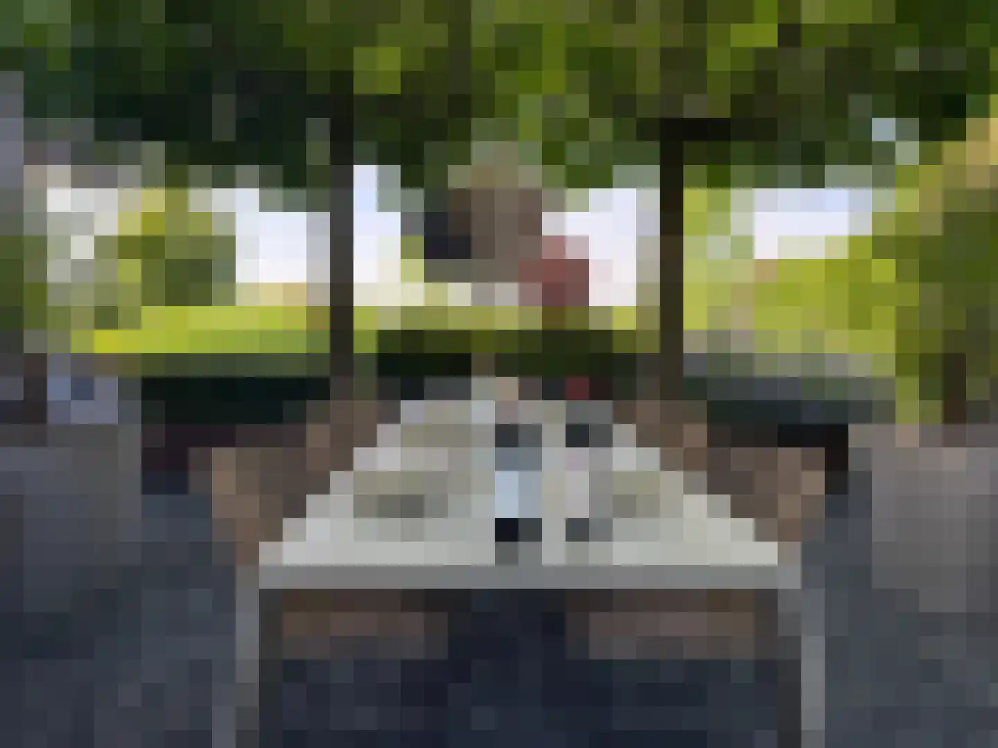 Gooyerdijk 122 Doorn thumbnail 47