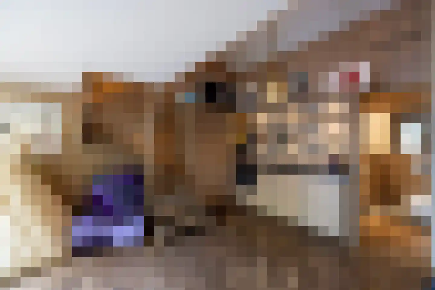 Gooyerdijk 18 Leersum thumbnail 35