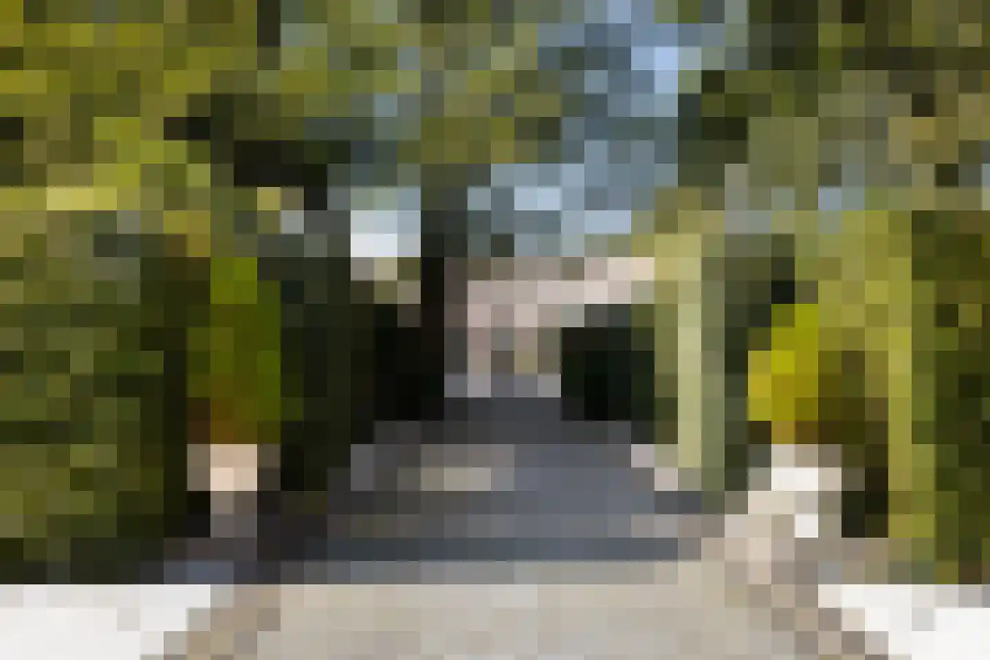 Gooyerdijk 18 Leersum thumbnail 9