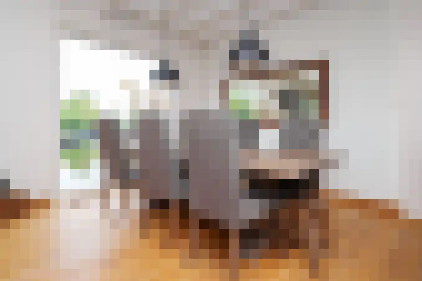Gordelpad 275 Rotterdam thumbnail 13
