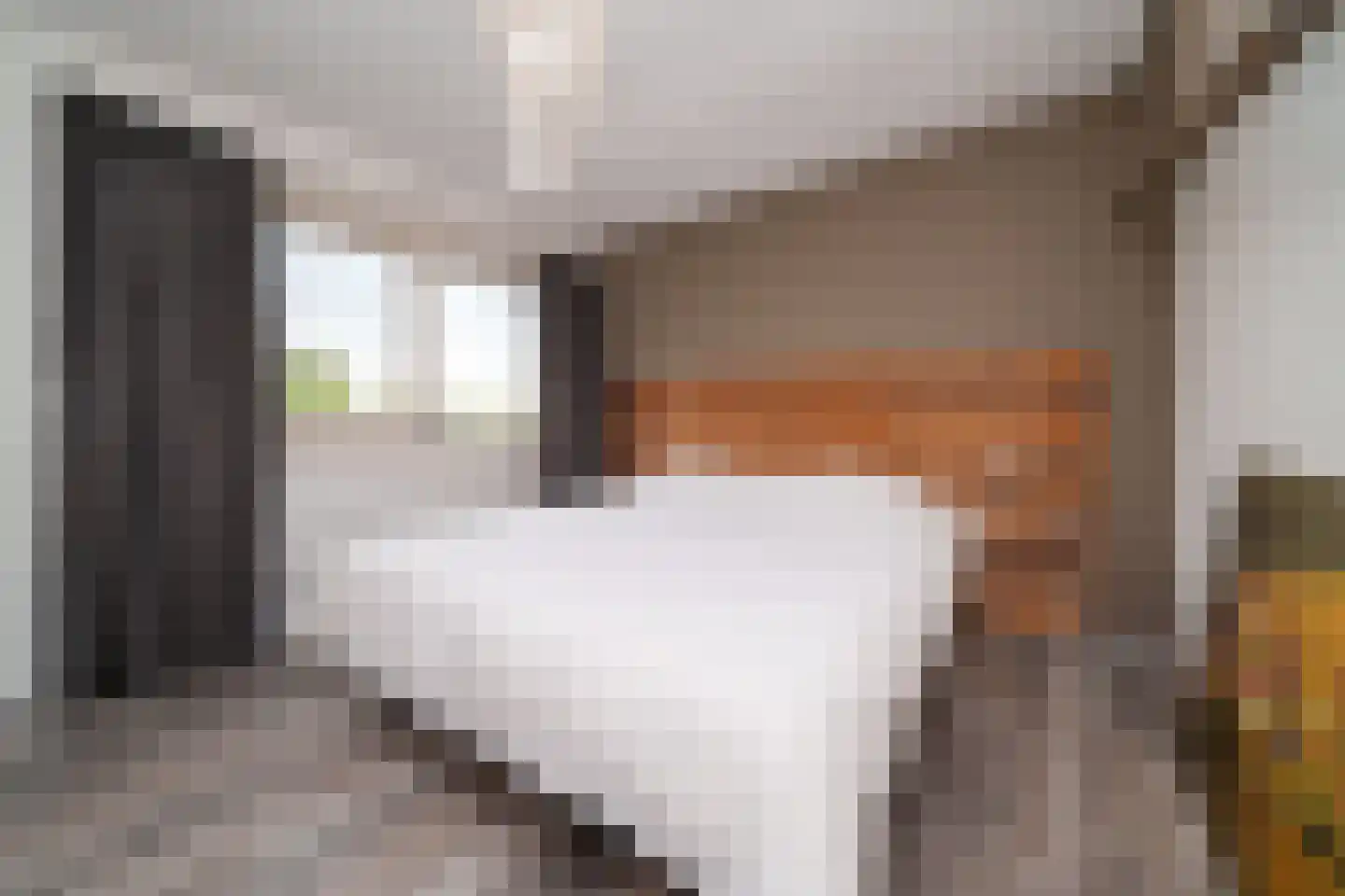 Gordelpad 275 Rotterdam thumbnail 19
