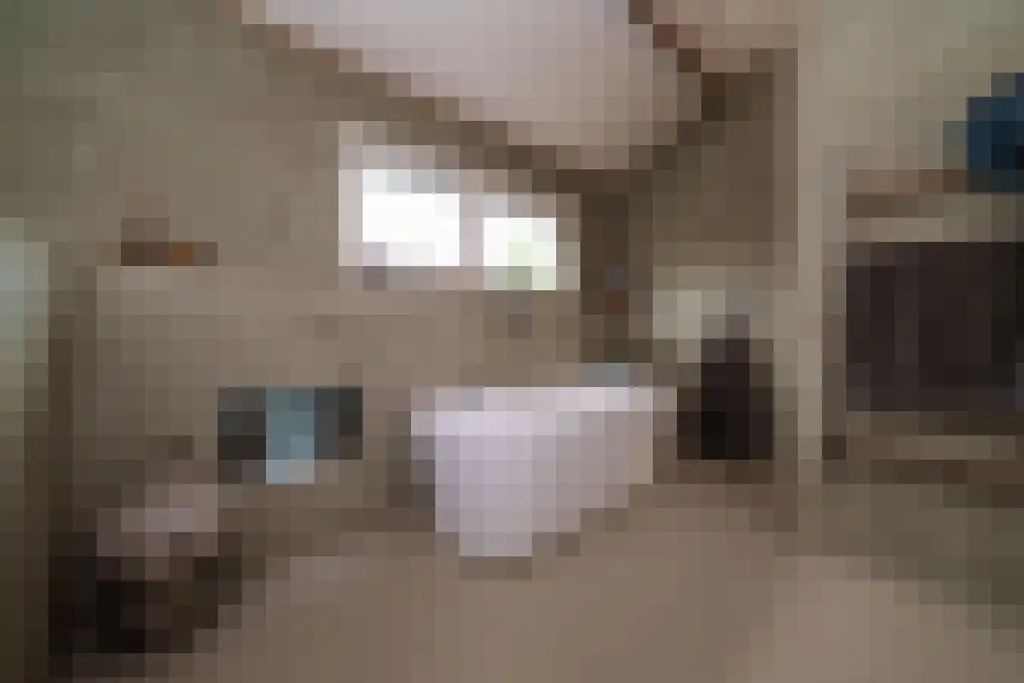 Gordelpad 275 Rotterdam thumbnail 22