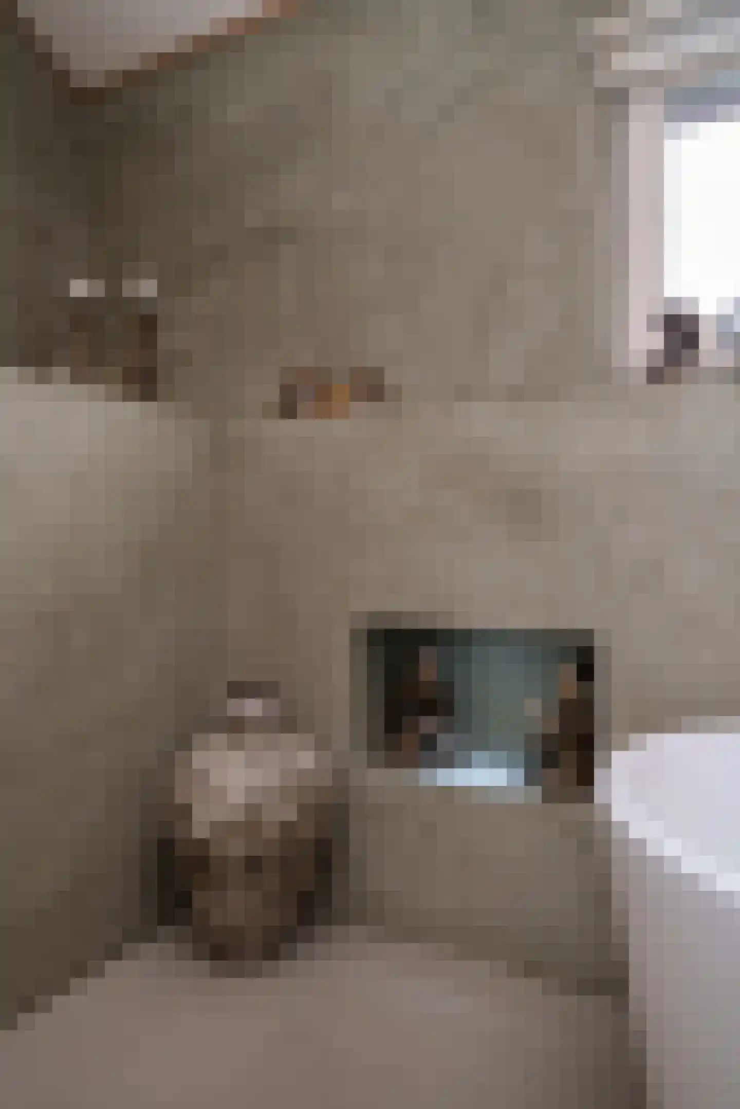Gordelpad 275 Rotterdam thumbnail 24