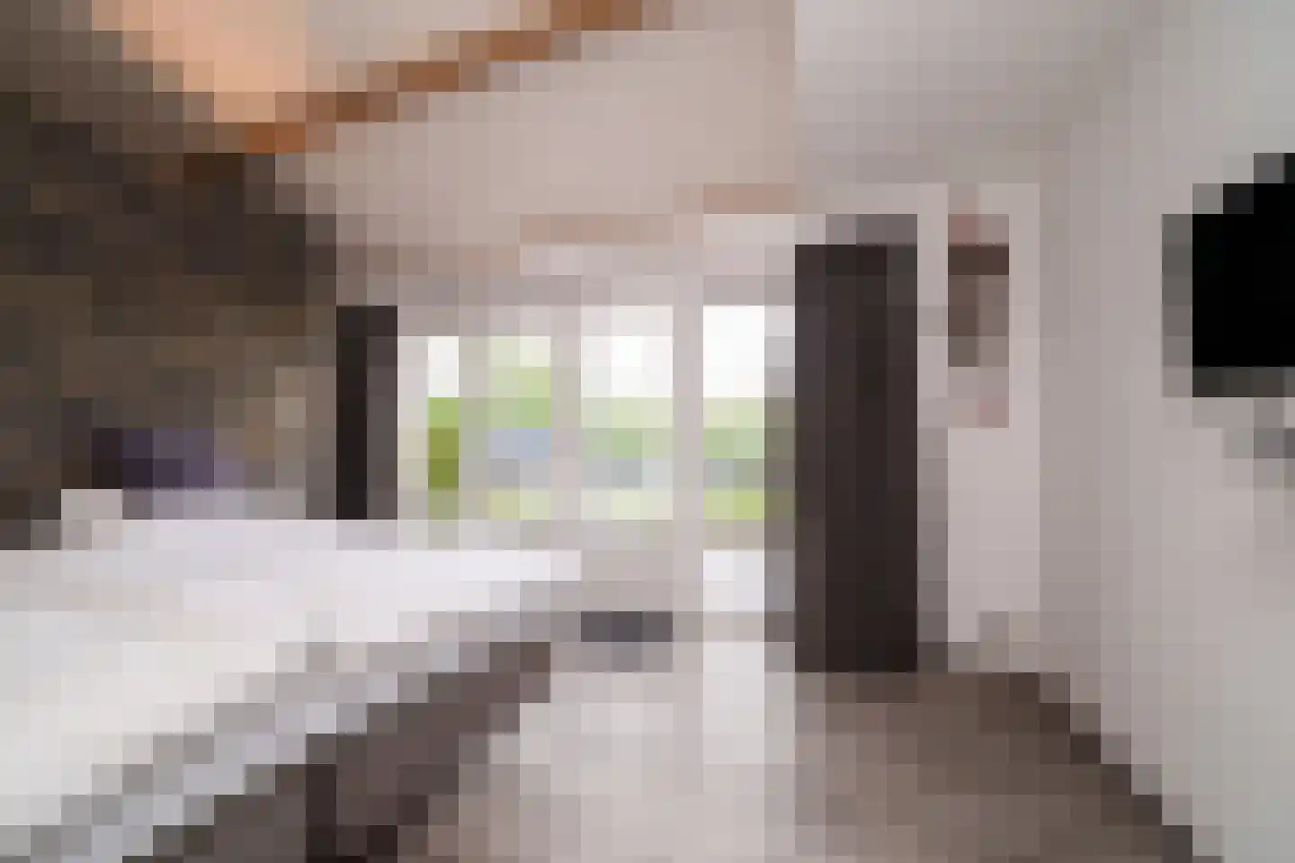 Gordelpad 275 Rotterdam thumbnail 4