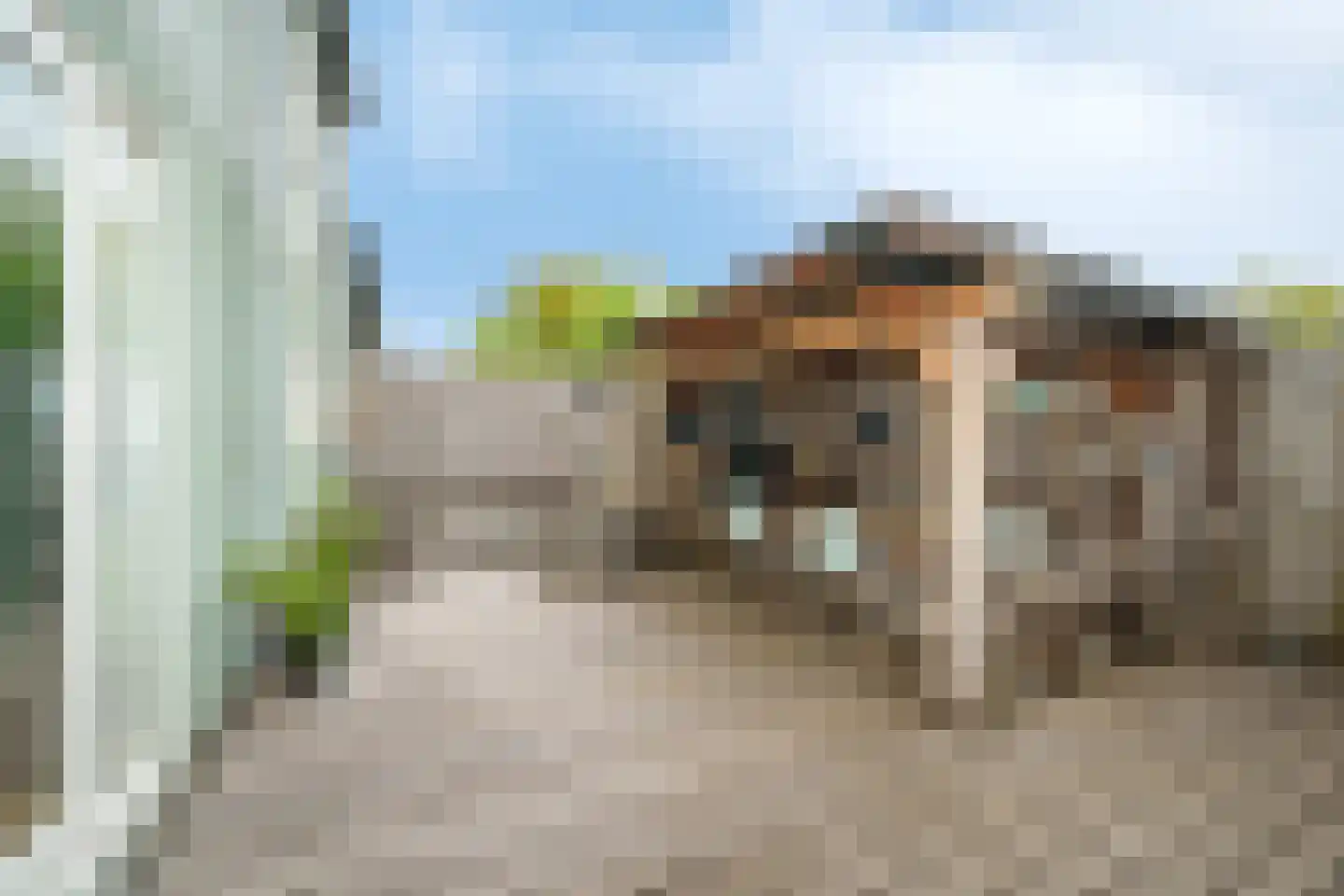 Gordelpad 275 Rotterdam thumbnail 5