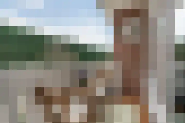 Gordelweg 20 C Rotterdam thumbnail 8