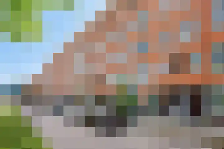 Gordelweg 205 B Rotterdam thumbnail 6
