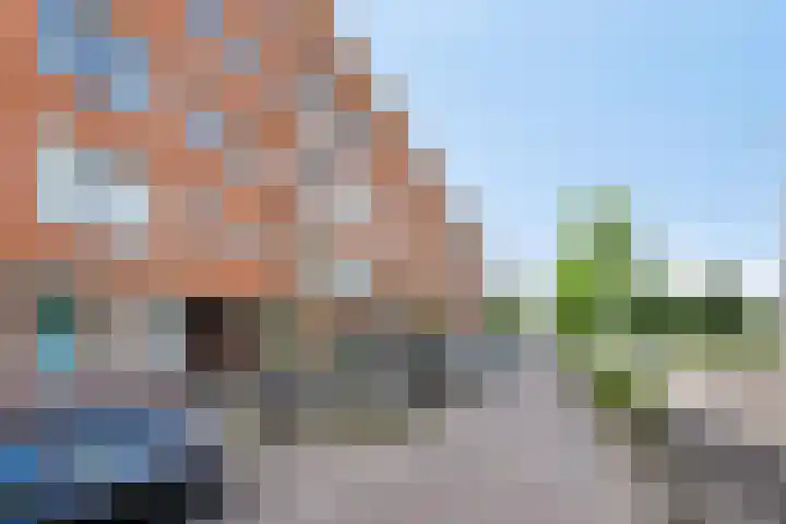 Gordelweg 205 B Rotterdam thumbnail 7