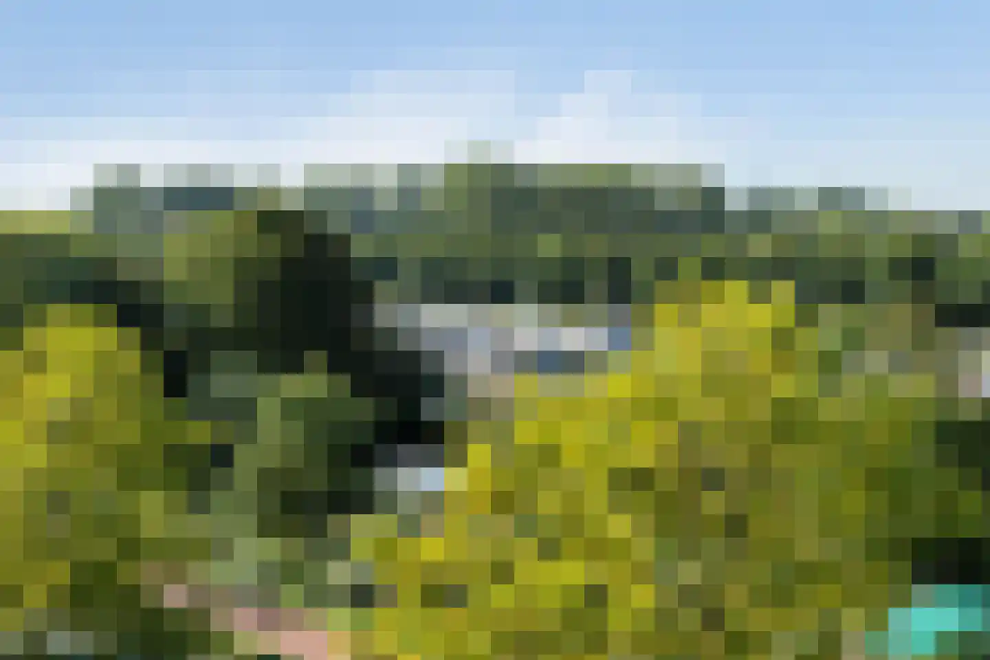 Gordelweg 208 B Rotterdam thumbnail 54