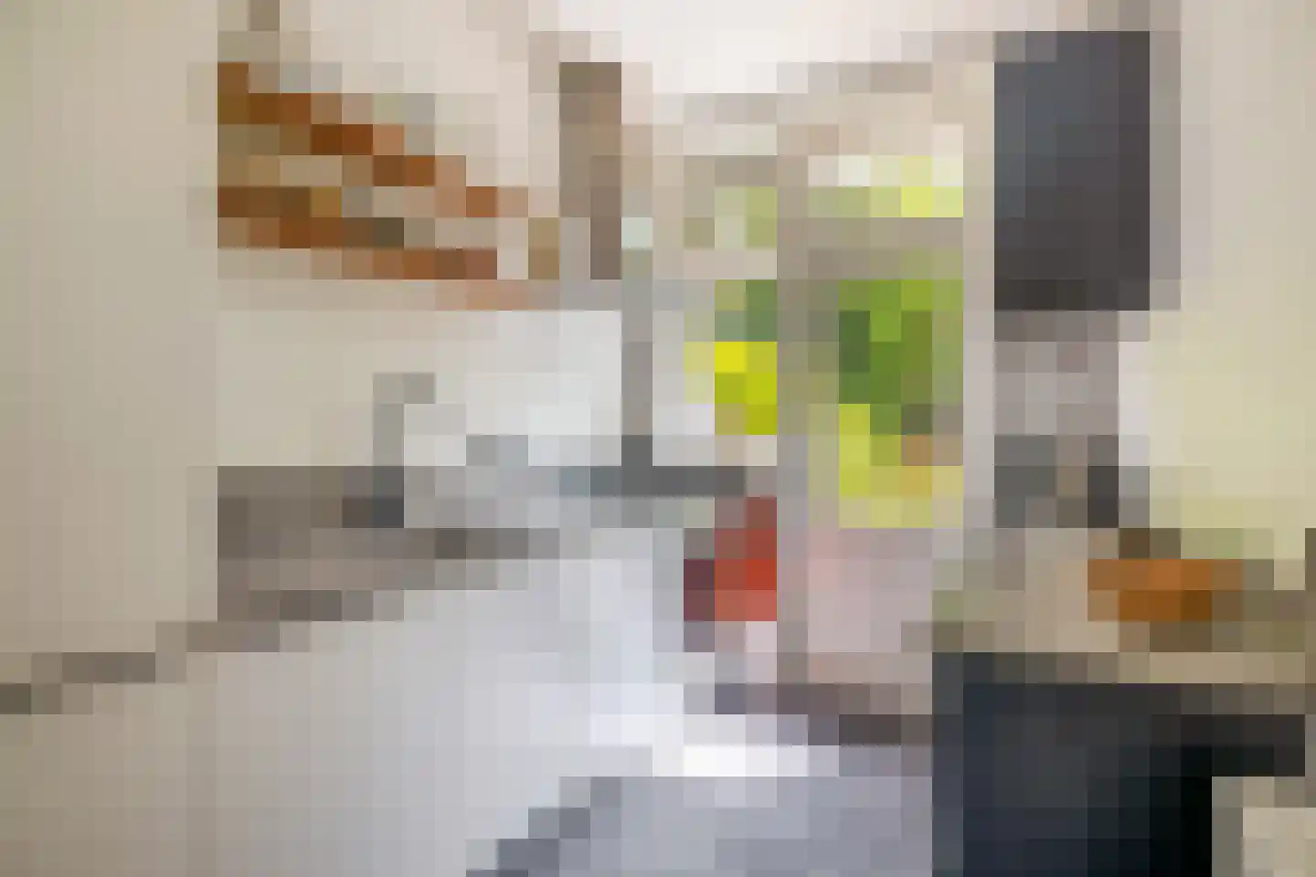 Gordelweg 209 D Rotterdam thumbnail 21