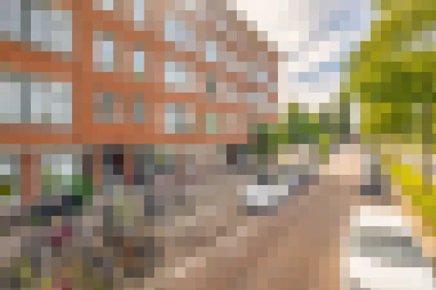 Gordelweg 209 D Rotterdam thumbnail 31
