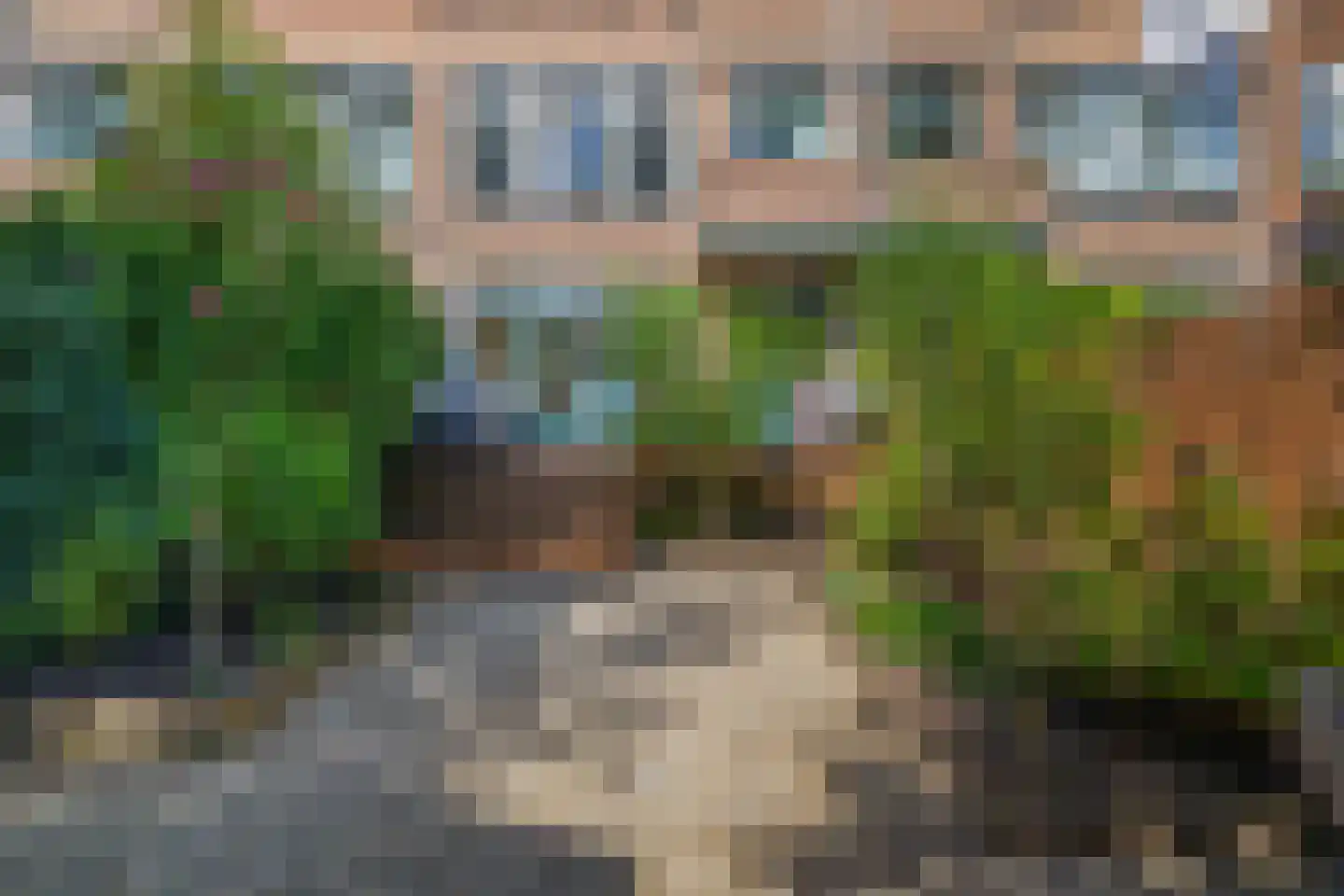 Gordelweg 209 D Rotterdam thumbnail 7