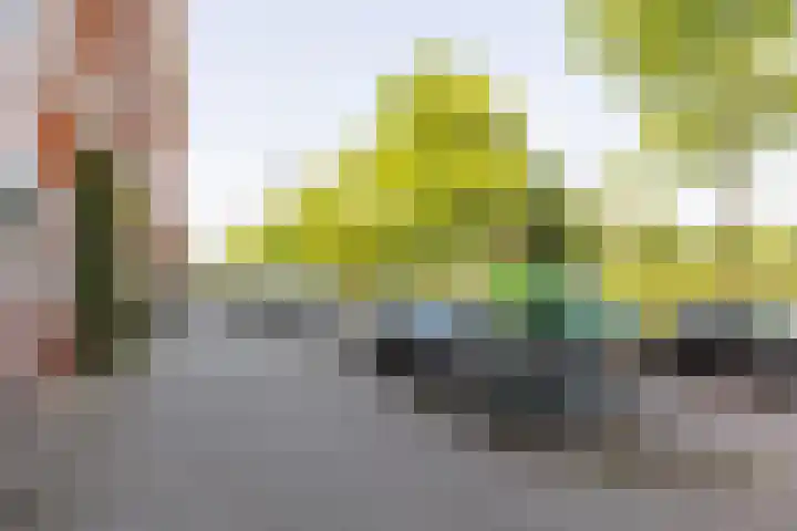 Gordelweg 222 B Rotterdam thumbnail 46