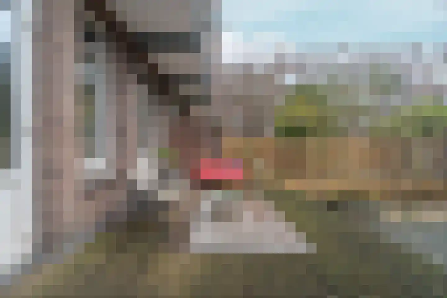 Gordelweg 224 01L Rotterdam thumbnail 32