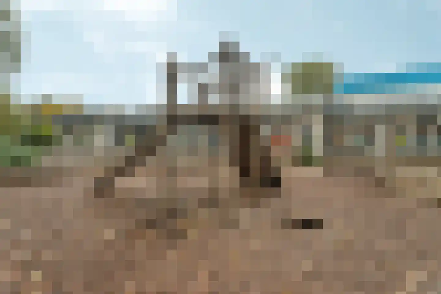 Gordelweg 224 01L Rotterdam thumbnail 38