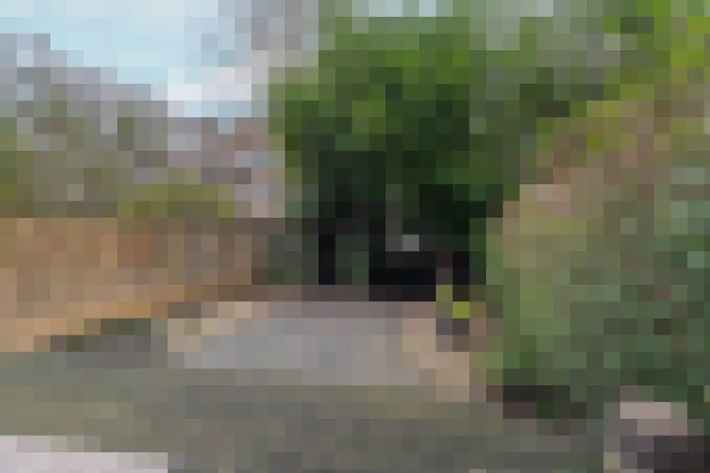 Gordelweg 224 03R Rotterdam thumbnail 31