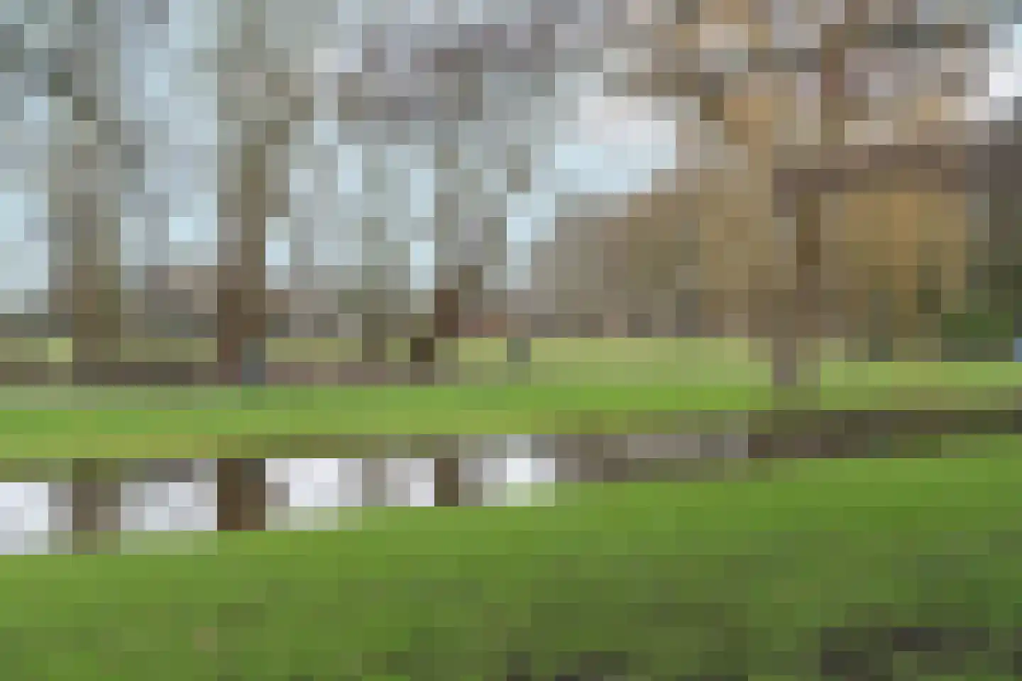 Gordelweg 224 03R Rotterdam thumbnail 37
