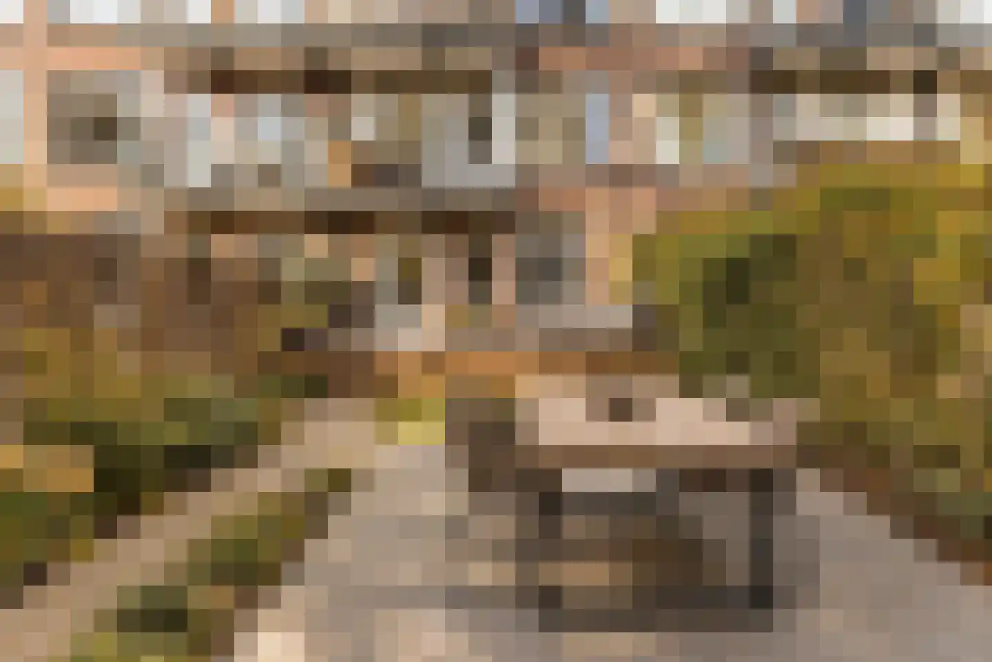 Gordelweg 225 BGL Rotterdam thumbnail 12