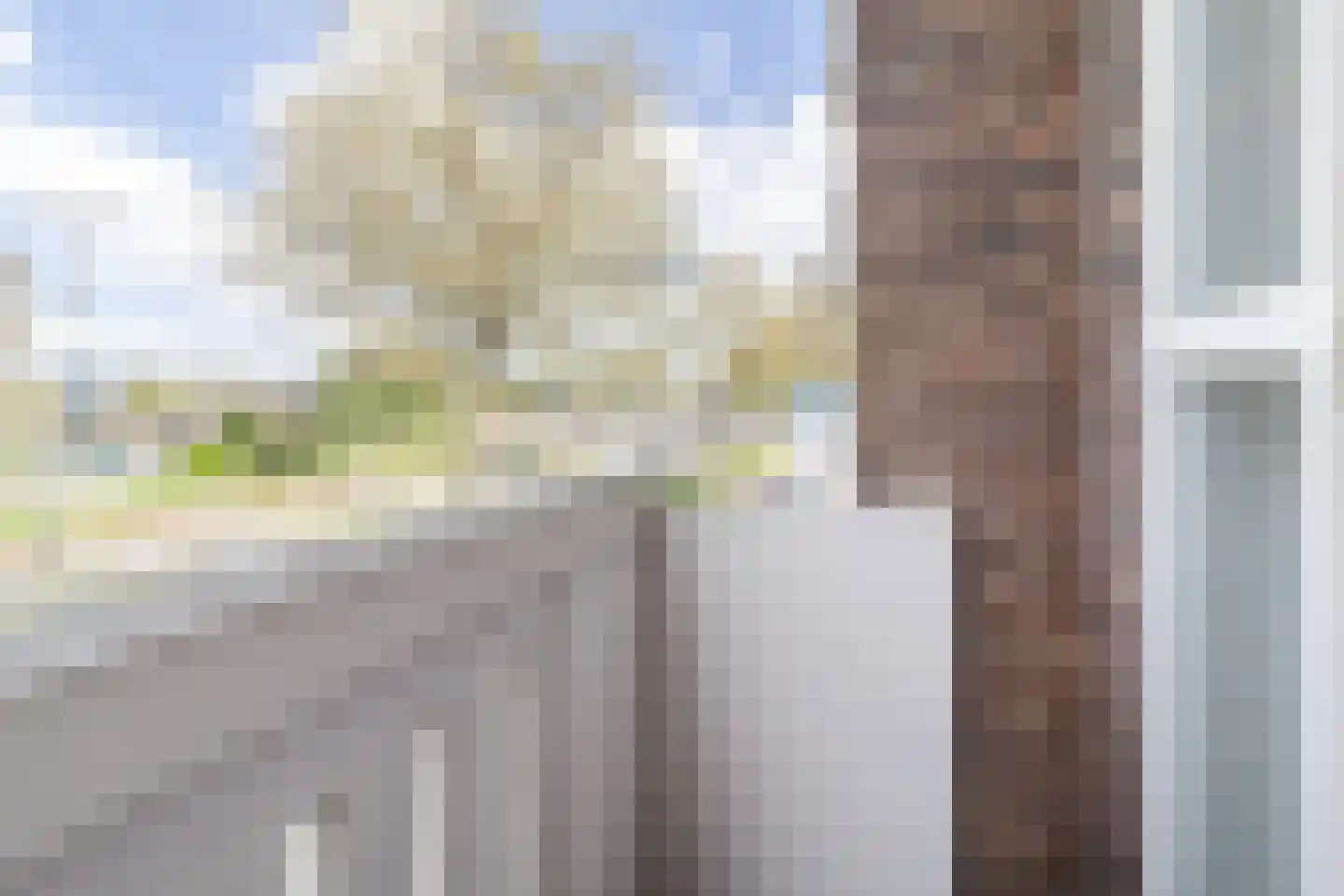 Gordelweg 23 D Rotterdam thumbnail 21