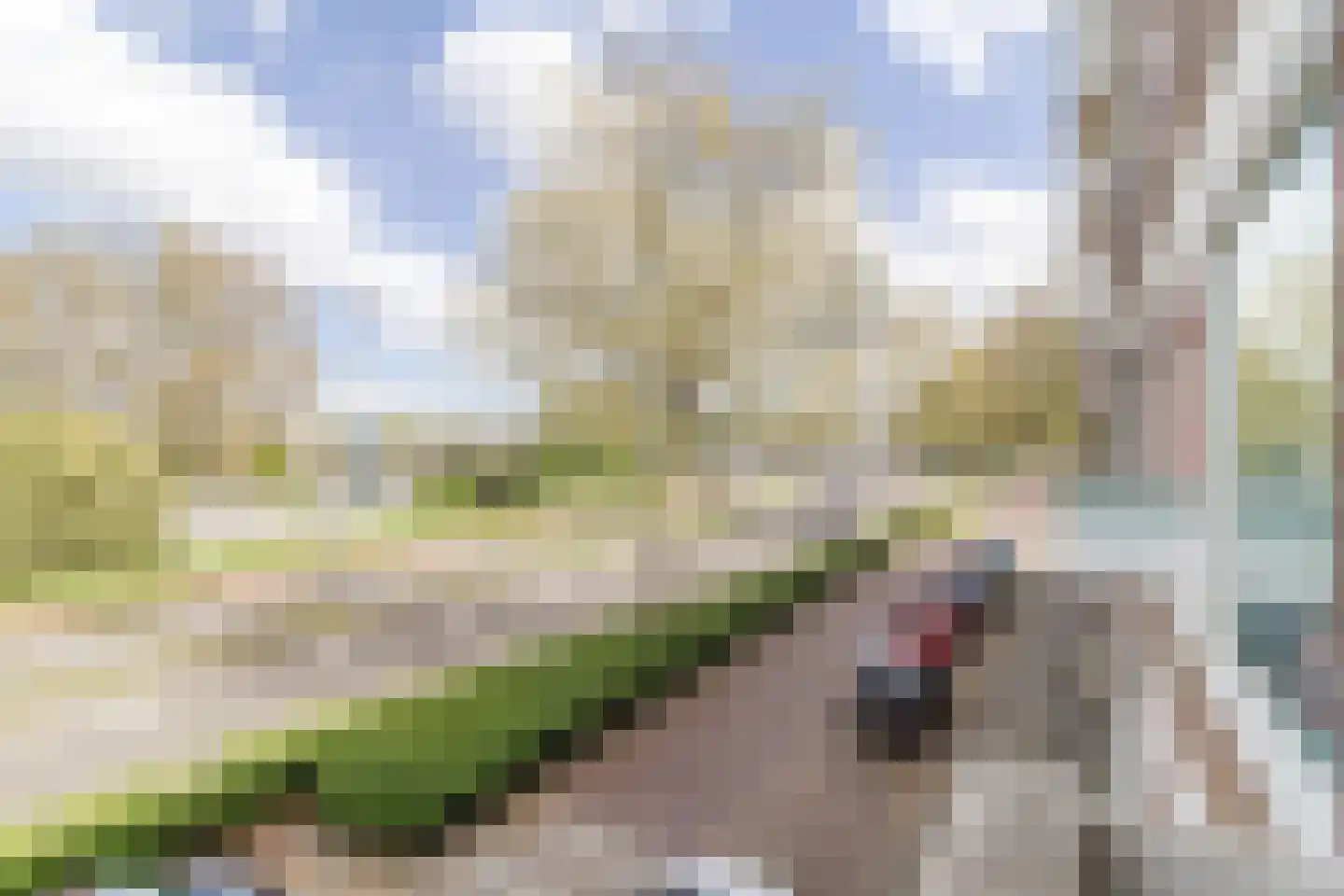 Gordelweg 23 D Rotterdam thumbnail 23