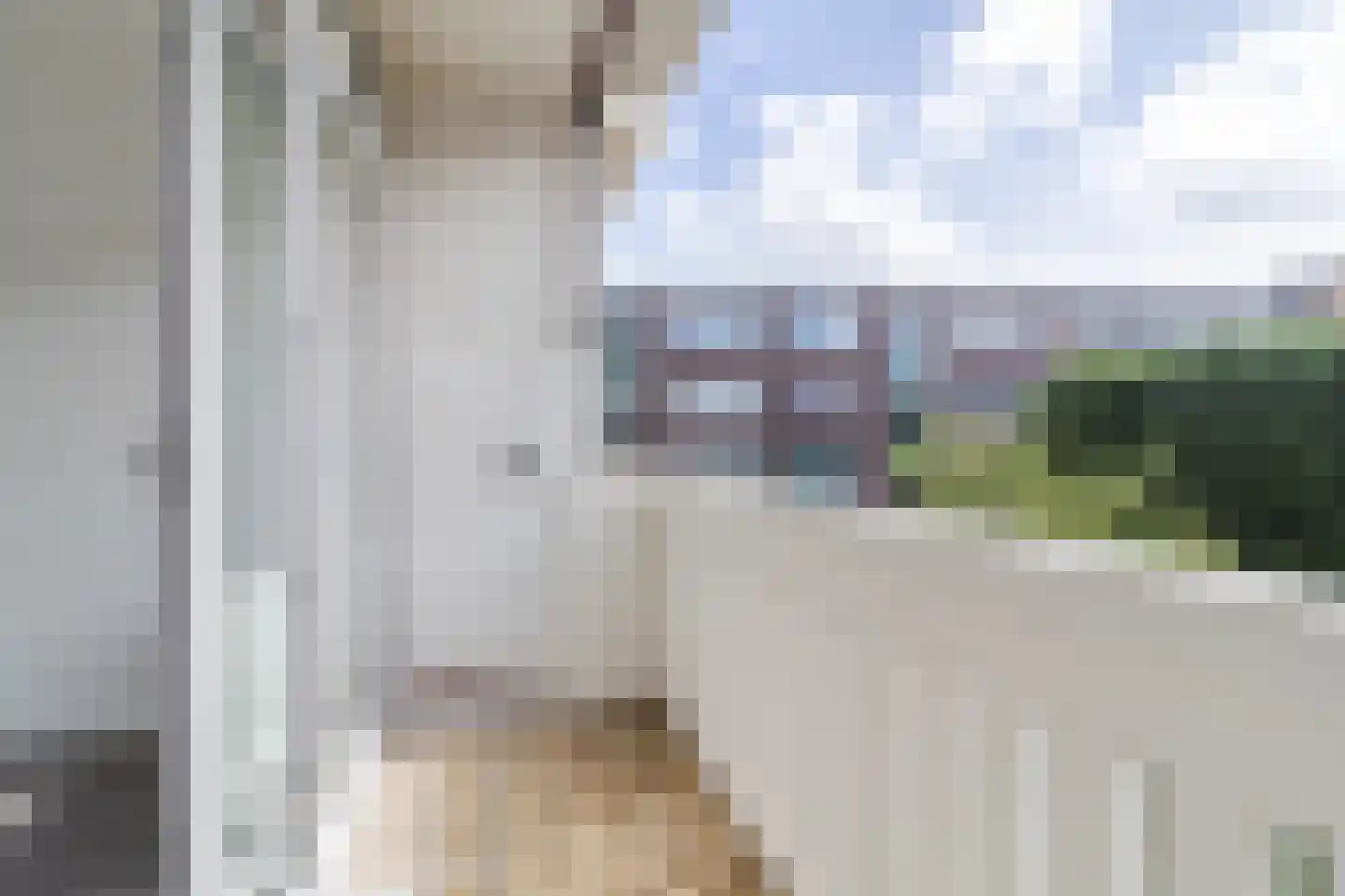 Gordelweg 23 D Rotterdam thumbnail 27