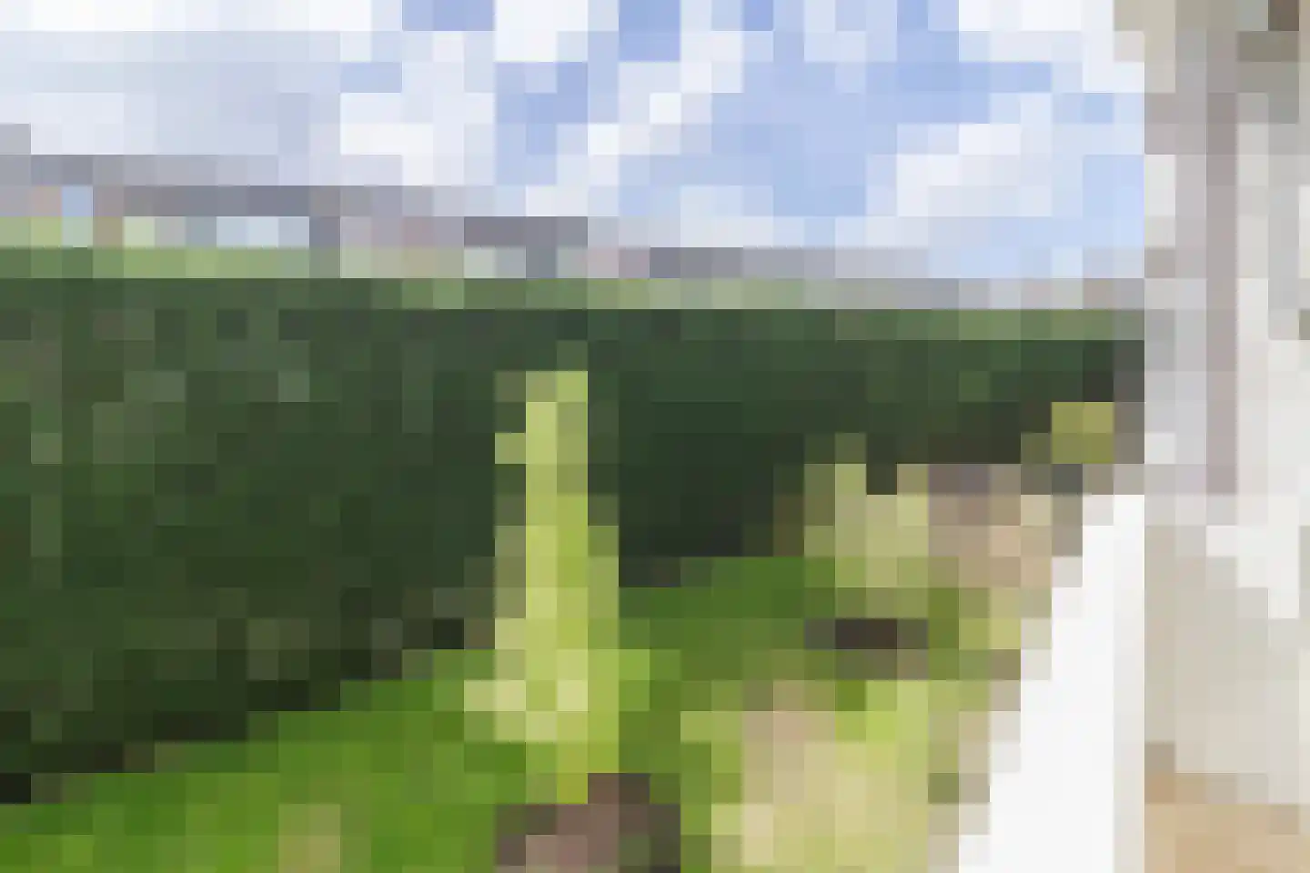Gordelweg 23 D Rotterdam thumbnail 33
