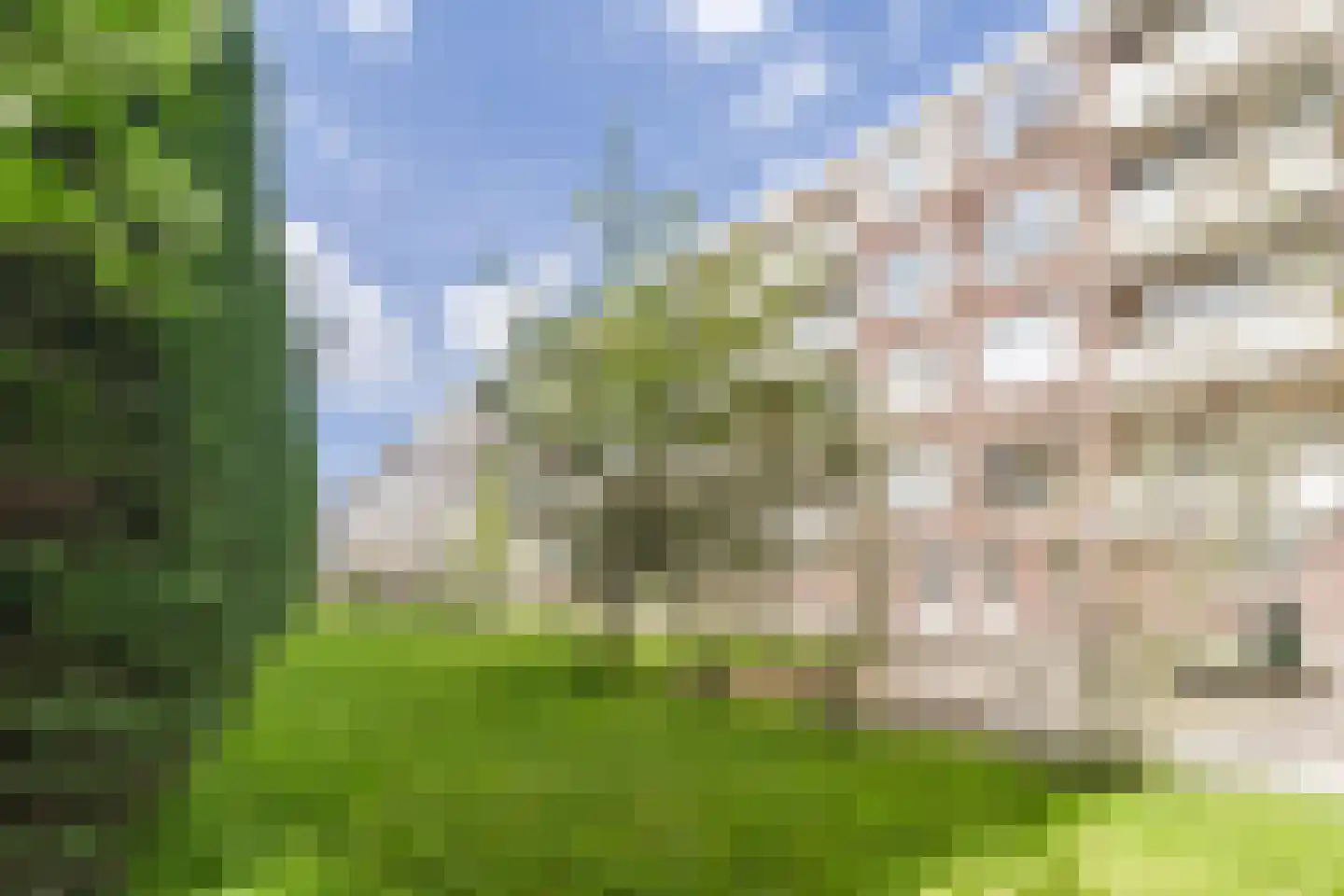 Gordelweg 23 D Rotterdam thumbnail 34