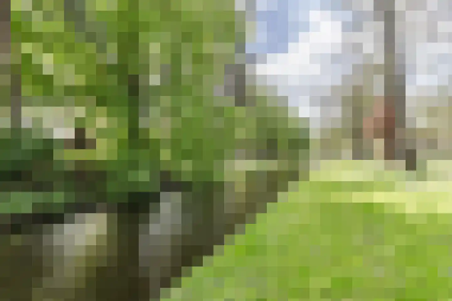 Gordelweg 23 D Rotterdam thumbnail 38