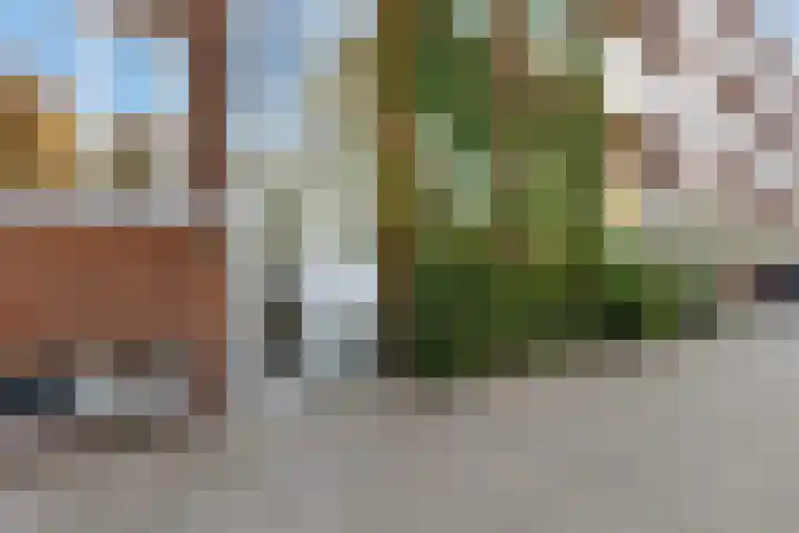 Gordelweg 235 C Rotterdam thumbnail 4