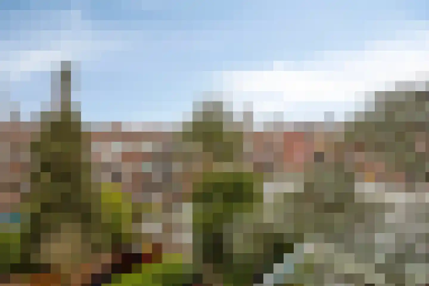 Gordelweg 236 A Rotterdam thumbnail 17