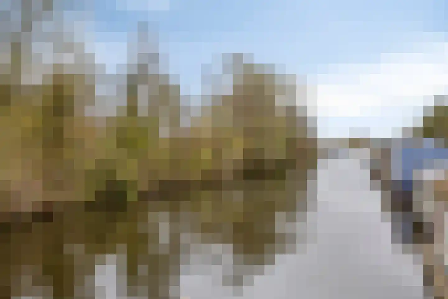 Gordelweg 236 A Rotterdam thumbnail 18