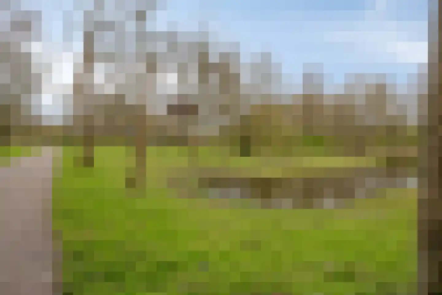 Gordelweg 236 A Rotterdam thumbnail 19