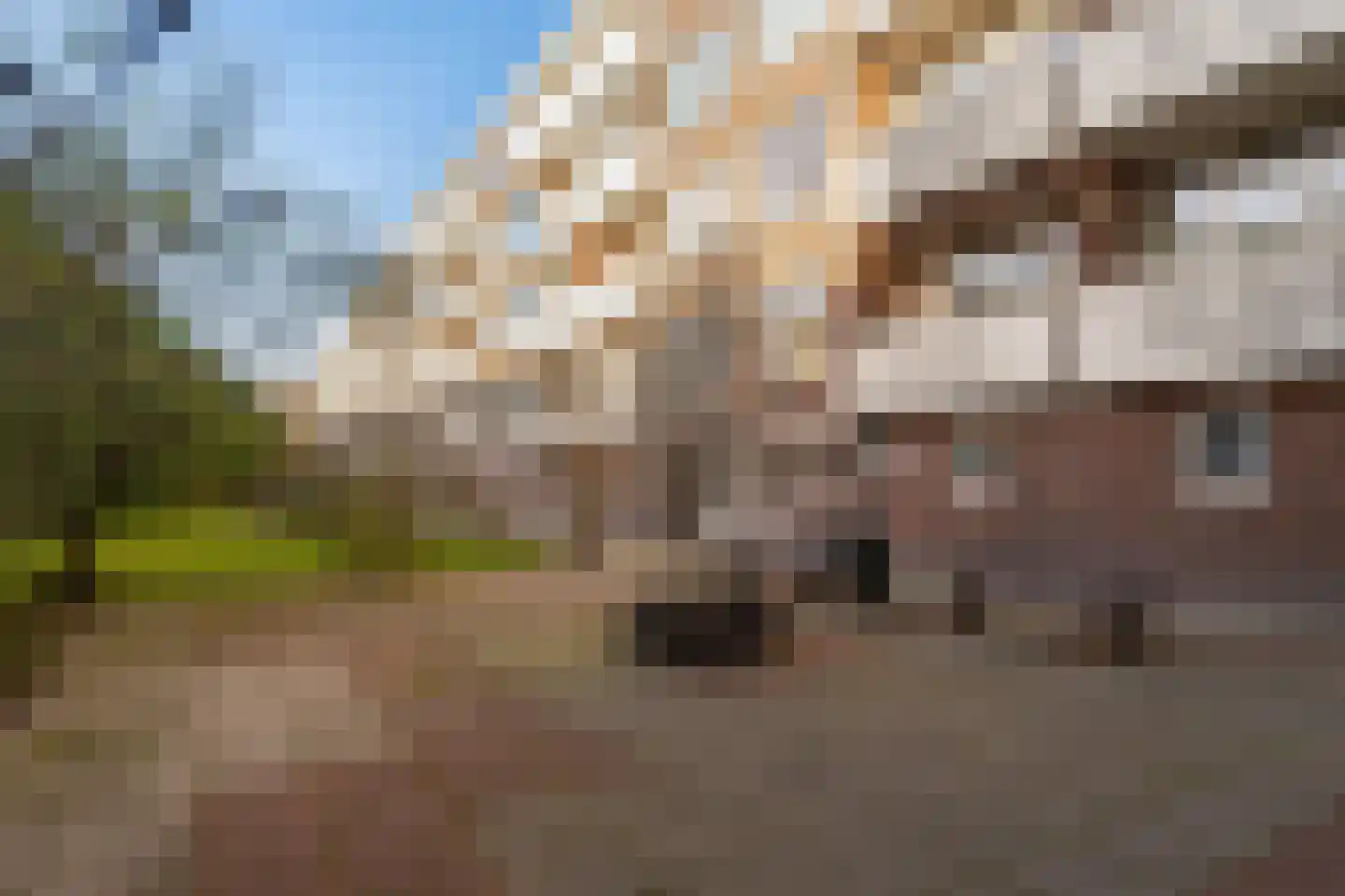 Gordelweg 24 B Rotterdam thumbnail 30