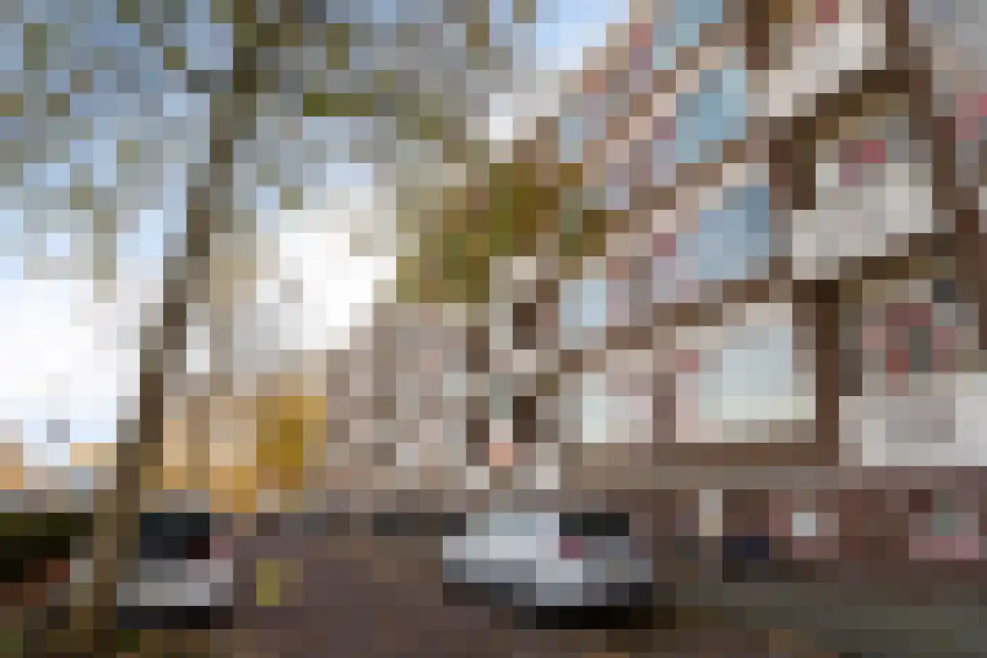 Gordelweg 24 B Rotterdam thumbnail 5