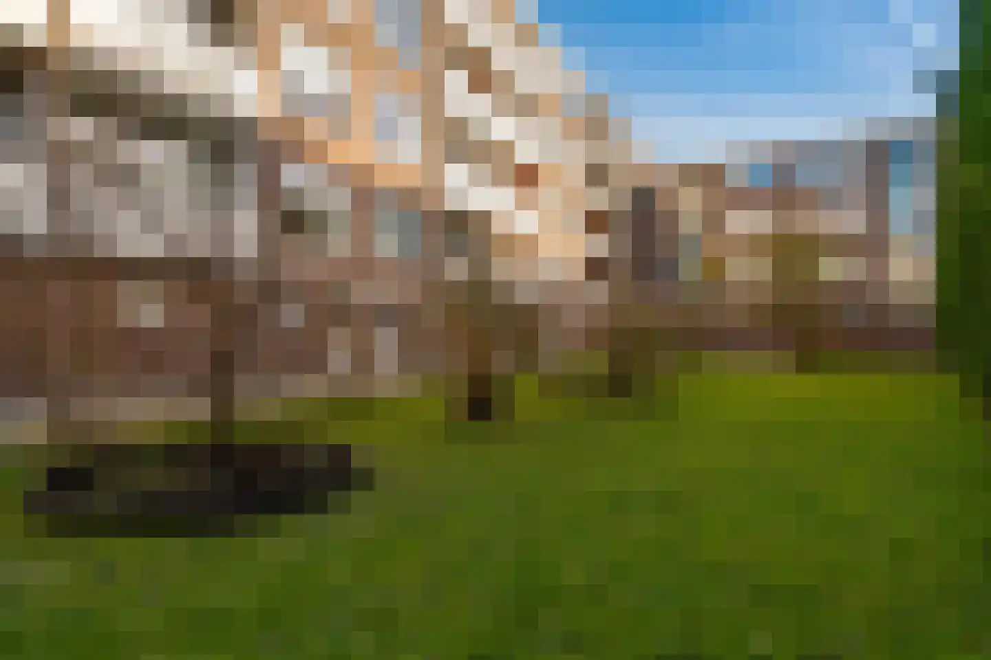 Gordelweg 24 D Rotterdam thumbnail 32