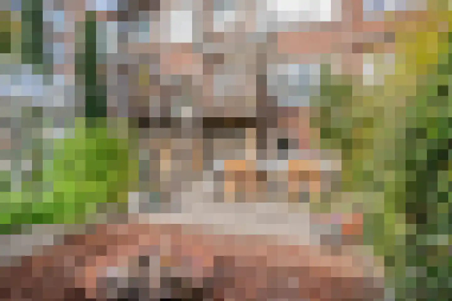 Gordelweg 240 A Rotterdam thumbnail 31