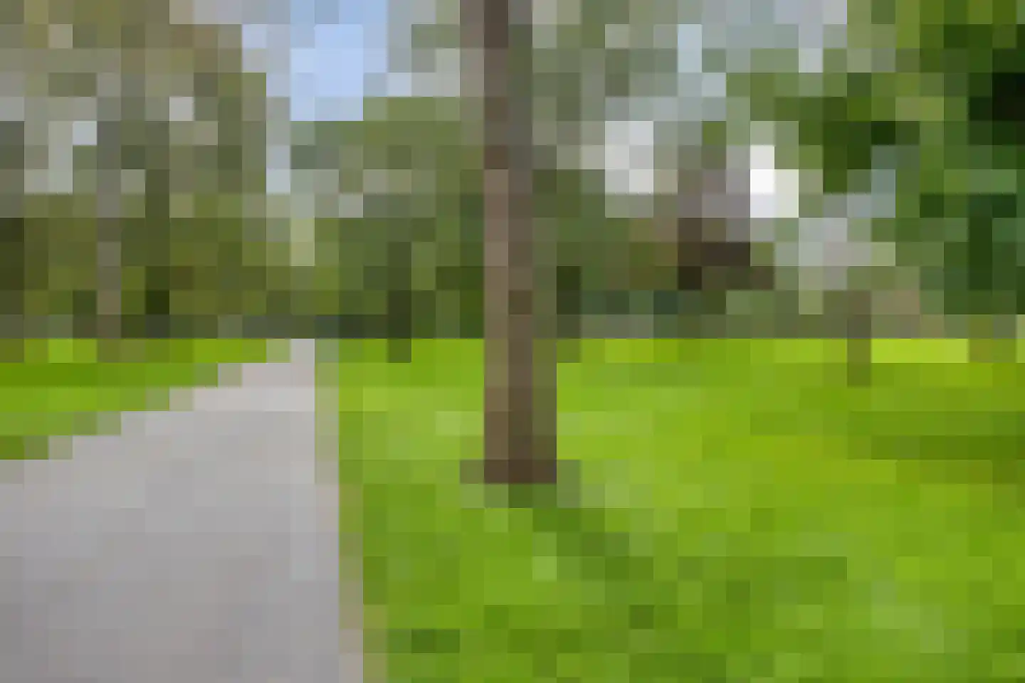 Gordelweg 240 A Rotterdam thumbnail 38