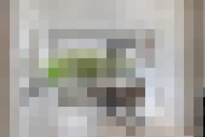 Gordelweg 27 D dans Rotterdam
