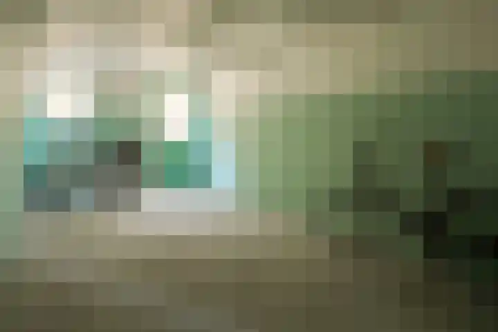 Gordelweg 31 D Rotterdam thumbnail 38